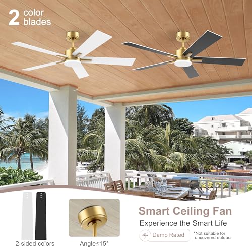 Lorpies 52” Smart Ceiling Fan with LED Lights Remote,Quite DC Motor,Voice Control via Alexa Google WIFI Phone,Outdoor Indoor Modern Ceiling Fans,Dimmable,for Bedroom Patio Porch,Gold and White Black