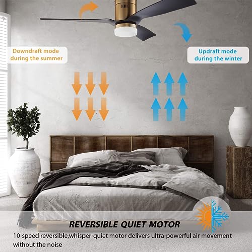SMAAIR 52 Inch Smart Ceiling Fans with Lights and Remote, 10-speed Reversible DC Motor Works with Remote Control/Alexa/Google Assistant/Siri Shortcuts (52 Inch, Gold/Black)