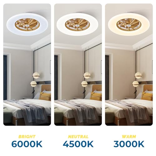 Orison RGB Ceiling Fans with Lights, 24'' Low Profile Ceiling Fan with Light and Remote, Smart Ceiling Fans with 8 blades, Compatible with Alexa, Google Home and App Controlled (Wood)