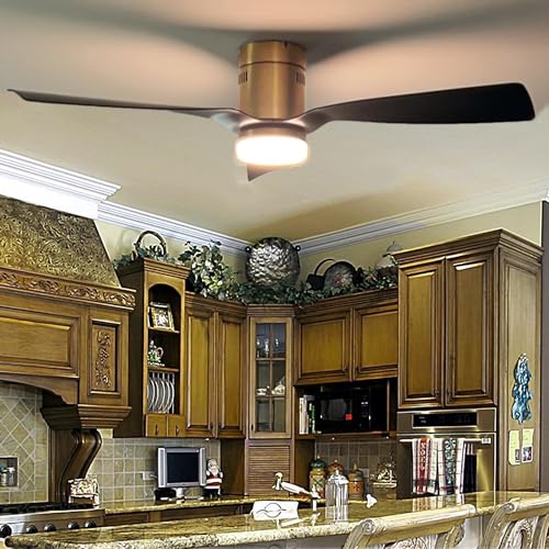 SMAAIR 52 Inch Smart Ceiling Fans with Lights and Remote, 10-speed Reversible DC Motor Works with Remote Control/Alexa/Google Assistant/Siri Shortcuts (52 Inch, Gold/Black)