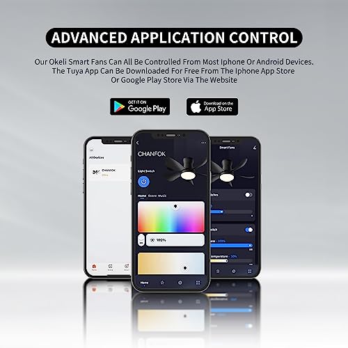 OKELI Alexa Smart Ceiling Fan with Lights and Remote - 28'' Black Modern Dimmable & App Controlled Compatible with Alexa and Google Assistant LED Small Ceiling Fan for Bedroom Kitchen Dining living