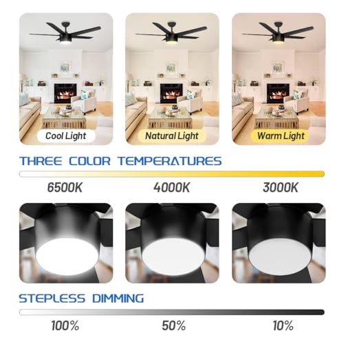 wurzee 52 Inch Smart Ceiling Fan, DC Reversible Motor Noiseless Timing 3CCT Dimmable, Black Ceiling Fan Compatible with Alexa Tuya App for Living Room Indoor & Outdoor ETL