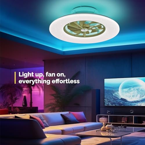 Orison RGB Ceiling Fans with Lights, 24'' Low Profile Ceiling Fan with Light and Remote, Smart Ceiling Fans with 8 blades, Compatible with Alexa, Google Home and App Controlled (Wood)