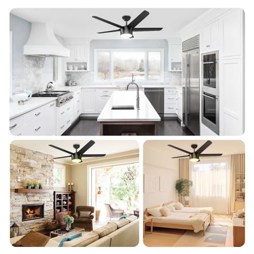 wurzee 52 Inch Smart Ceiling Fan, DC Reversible Motor Noiseless Timing 3CCT Dimmable, Black Ceiling Fan Compatible with Alexa Tuya App for Living Room Indoor & Outdoor ETL