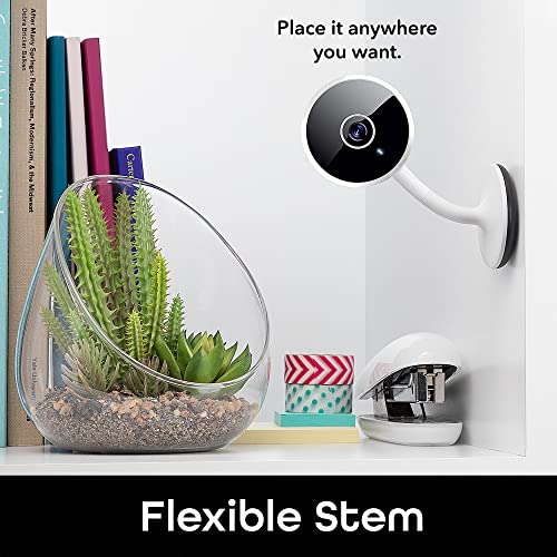 Geeni Vivid Indoor Smart Wi-Fi Camera, 1080p HD Surveillance with 2-Way Talk and Motion Detection, Compatible with Alexa and Google Assistant, No Hub Required (2 Pack)