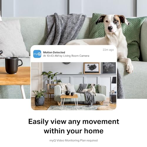 myQ Smart Indoor Security Camera – 1080p HD Video, Night Vision, Motion Detection, Wi-Fi, Two-Way Audio, Smartphone Control