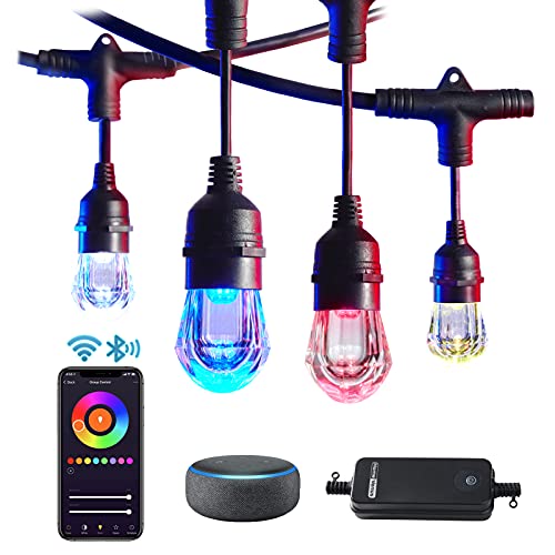 Smart Color-Changing LED Outdoor String Lights 36Ft