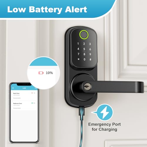 Smart Keyless Entry Door Lock with Handle