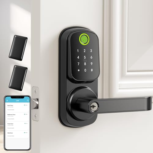 Smart Keyless Entry Door Lock with Handle