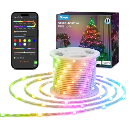 Smart RGBIC 33ft String Lights with App Control