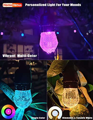 Smart Color-Changing LED Outdoor String Lights 36Ft