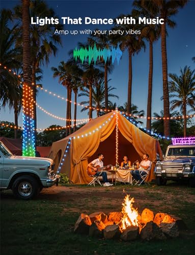 Smart RGBIC 33ft String Lights with App Control