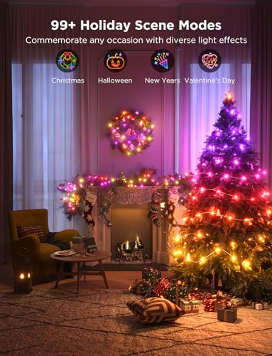 Smart RGBIC 33ft String Lights with App Control