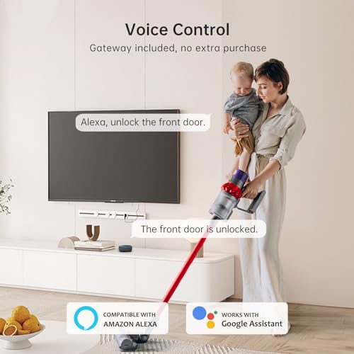Hornbill WiFi Smart Keyless Door Lock Set