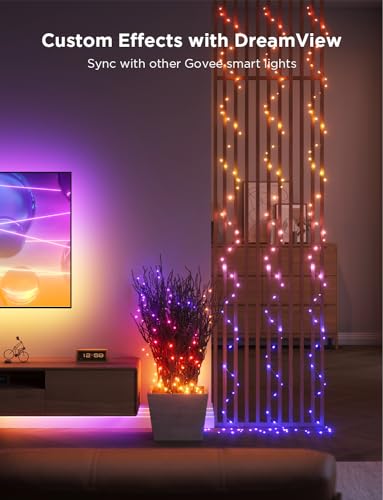 Smart RGBIC 33ft String Lights with App Control