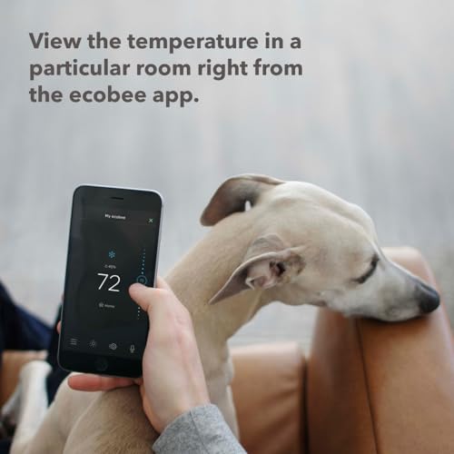 ecobee Smart Sensor 2-Pack for Home Comfort