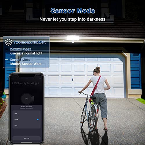 Smart Motion Sensor Security Light with App Control