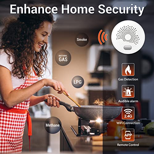WiFi Natural Gas Leak Detector and Alarm