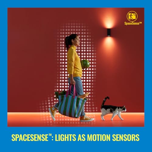 WiZ Smart Indoor Motion Sensor - Wi-Fi Connected