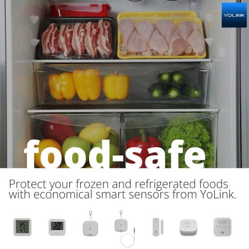 YoLink Smart Temperature & Humidity Sensors - 2 Pack