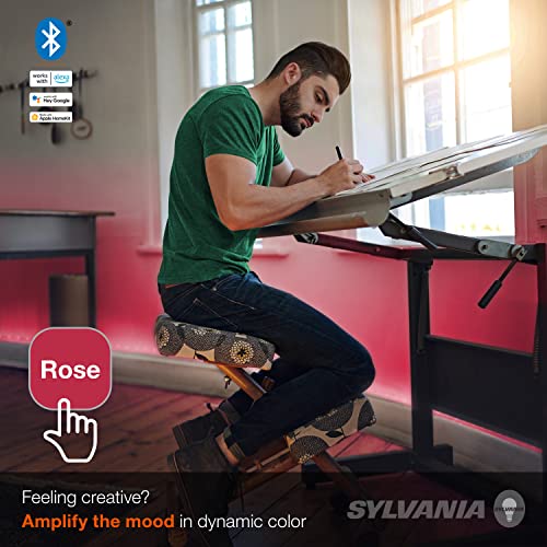 Sylvania 2ft Smart LED Flex Light Strip Kit
