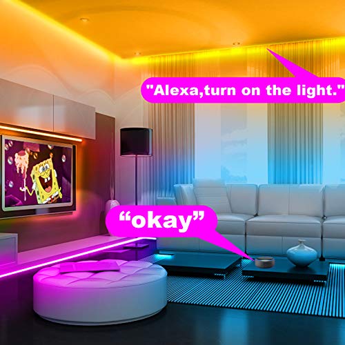 Dalattin 25ft WiFi Smart LED Strip Lights