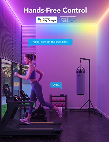 Govee RGBIC Smart LED Strip Lights 16.4ft