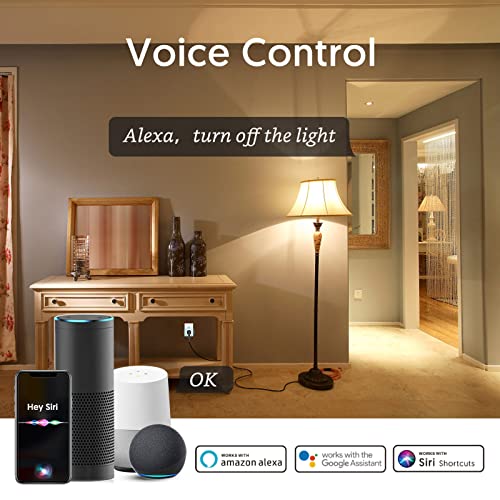 Smart WiFi Plug 2-Pack – Alexa & Google Compatible