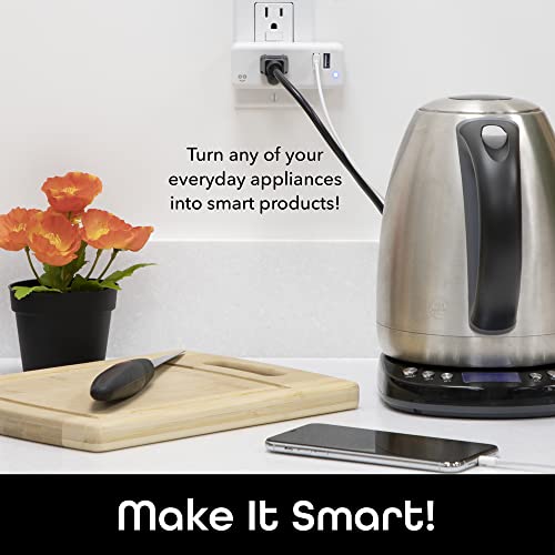Smart Wi-Fi Plug with USB Ports and App Control