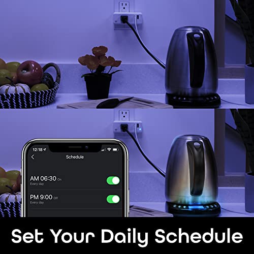 Smart Wi-Fi Plug with USB Ports and App Control