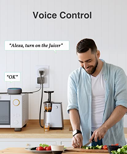 GHome Mini Smart Plug with App Control