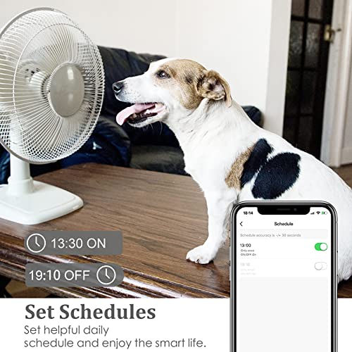 Smart Dual Socket Plugs for Energy Monitoring Alexa-Compatible