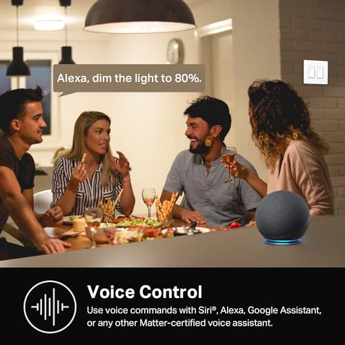Kasa Smart Dimmer Switch 2-Gang with Wi-Fi