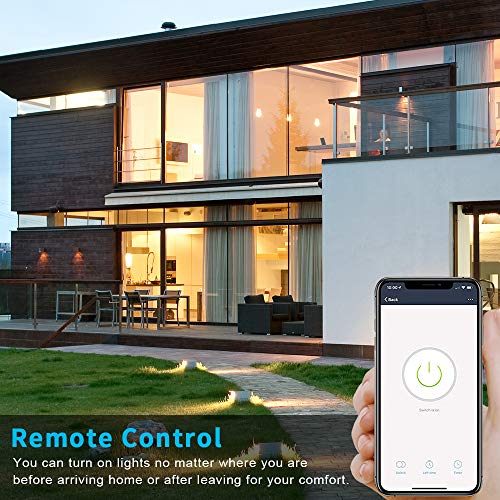 Smart Double Light Switch with Remote Control