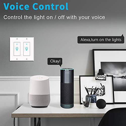 Smart Double Light Switch with Remote Control