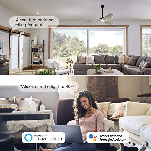 Smart Ceiling Fan and Light Switch Control
