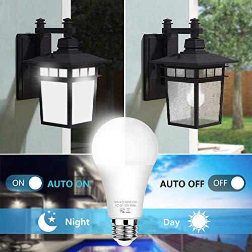 6-Pack Dusk to Dawn A19 LED Light Bulbs