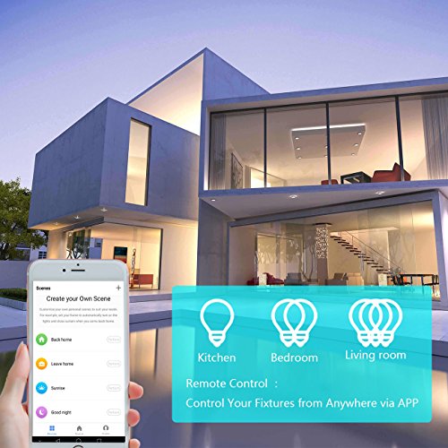 Smart WiFi Light Switch, Alexa & Google Home Compatible