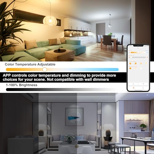 ChangM Smart LED Light Bulb Compatible with Alexa