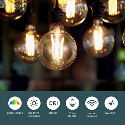 Smart Dimmable WiFi Edison Bulbs - 2-Pack