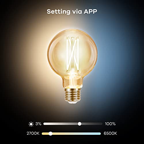 Smart Dimmable WiFi Edison Bulbs - 2-Pack