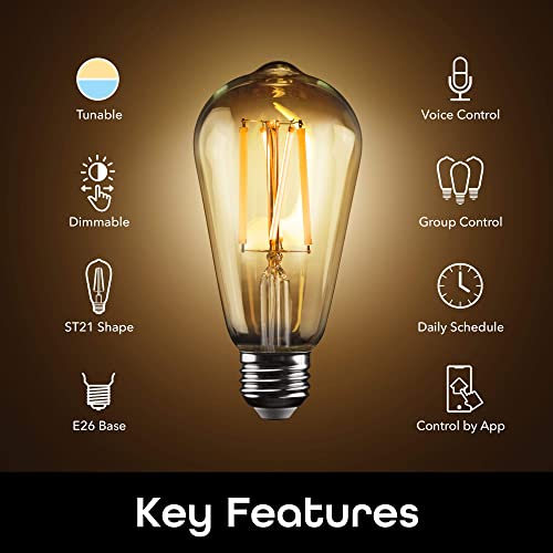 Smart LED Light Bulb for Alexa & Google Home