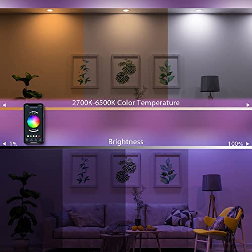 LUMIMAN Smart E12 RGB LED Bulbs – 2 Pack