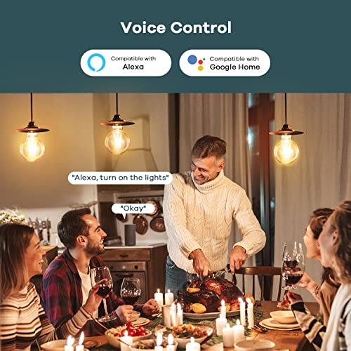 Smart Dimmable WiFi Edison Bulbs - 2-Pack