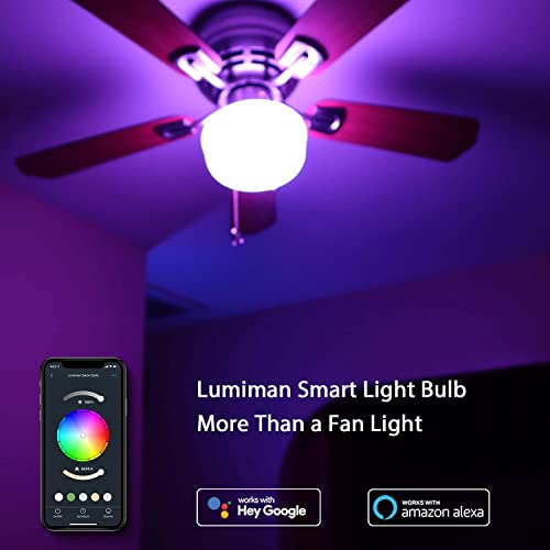 LUMIMAN Smart E12 RGB LED Bulbs – 2 Pack