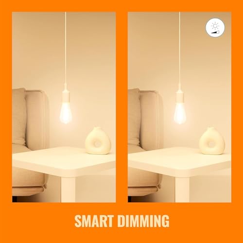 WiZ 60W Smart Tunable White Filament Bulb