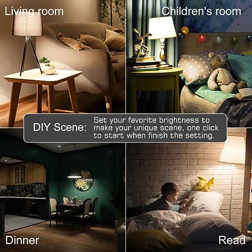 Smart Tunable LED Bulbs for Alexa - 4 Pack
