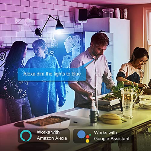 DAYBETTER Smart WiFi Light Bulbs - 10 Pack