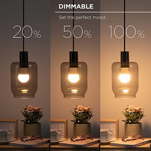 Multicolor Smart LED Light Bulb 2-Pack