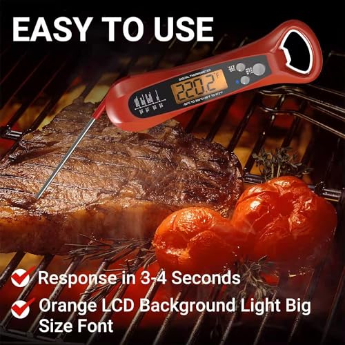 Wireless Meat Thermometer with Display, 2 Probes, 500Ft Range